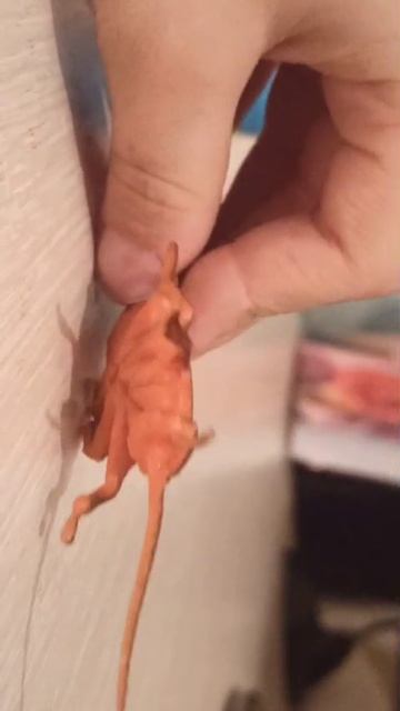 Тараканы инопланетные пытаются занять планету.