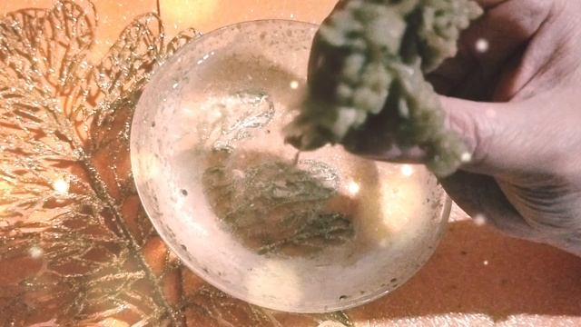 ✨Сентябрь!✨