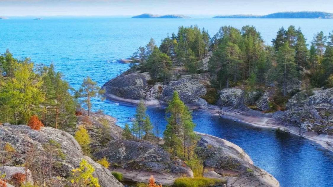 Дом, Лес, Ладога....