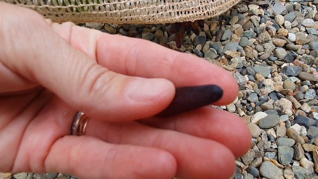 Виноград Хеллоуин