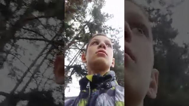 ищем находки чек.