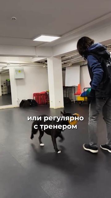 🎁Бесплатные уроки. Жми сюда!