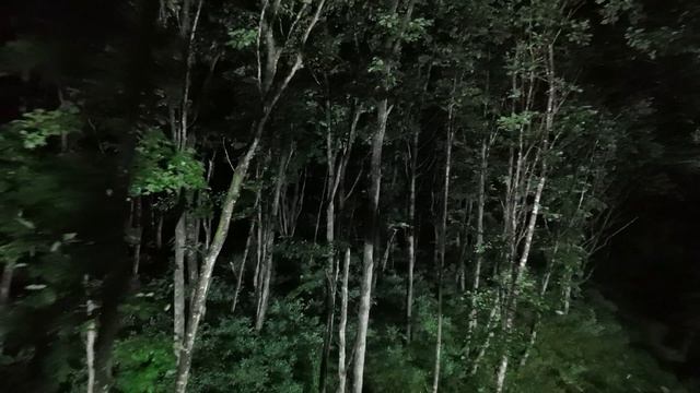 76918a162eb36ecdc5b1fef6f0f2b452