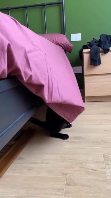 Каждое утро))