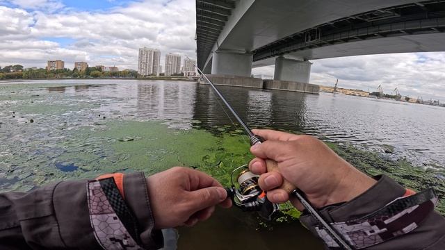 Рыбалка в Затоне. Москва река. Осенняя ловля. Лайт Джиг. 4 сентября 2025