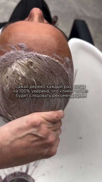 А сколько бы у вас было деревьев? 😅