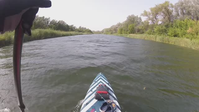 САП. Первая неделя сентября. Жирновск 2025