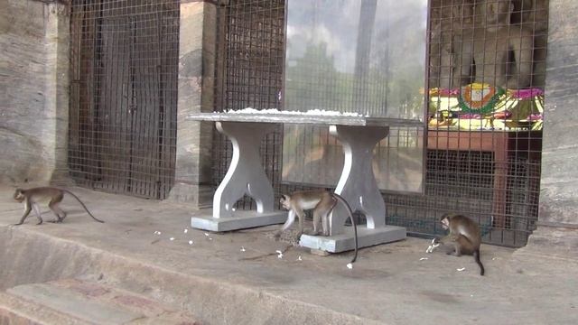 C60c5602f73794a722eefc5d83320997