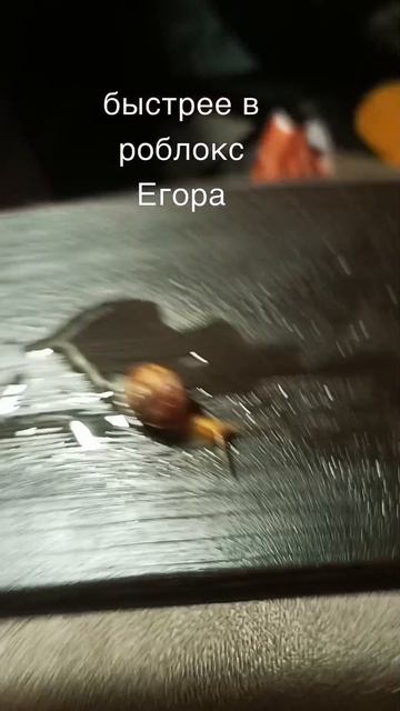 ну серьёзно