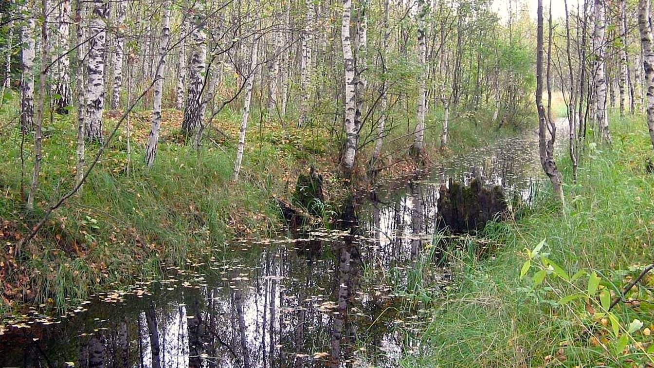 Красноугольский блюз (Версия 1 Рестайлинг)