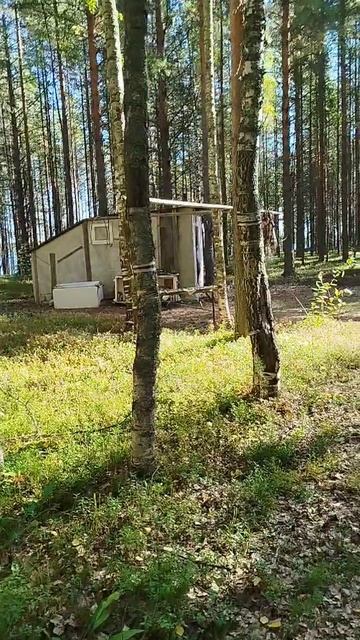 изба на острове