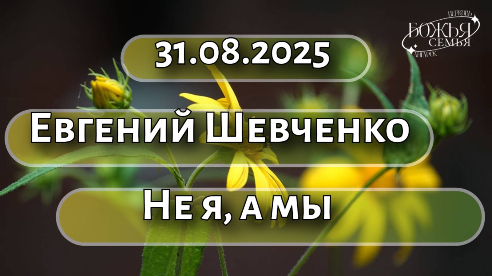 Евгений Шевченко   31.08.2025