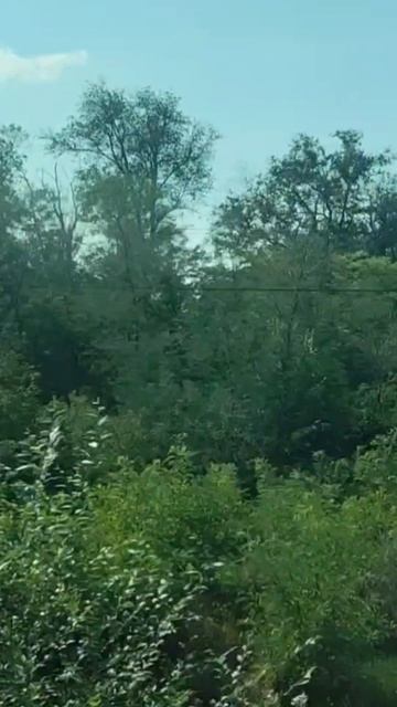 Поезд №511 ЯА Воркута - Новороссийск 🚄 ASMR #поезд