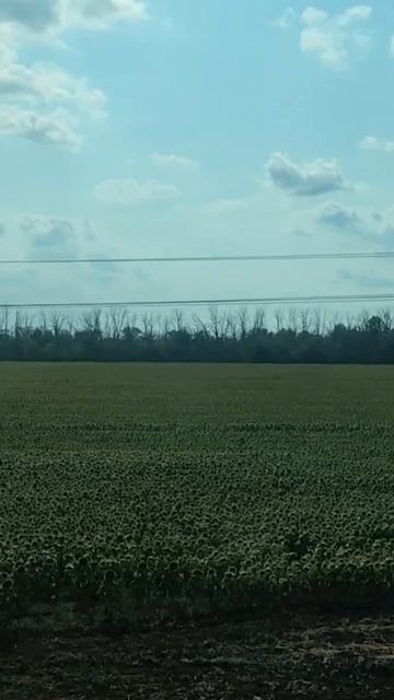 Поезд №511 ЯА Воркута - Новороссийск 🚄 ASMR #поезд