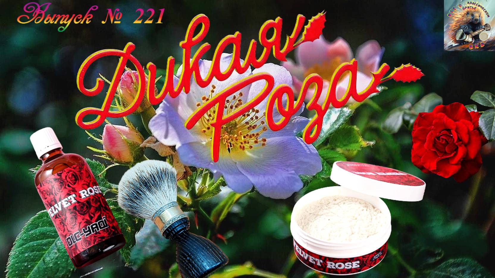 6077d9a817ecf11867fa06c59b860a56