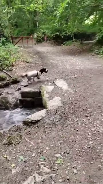 Играть сам с собой весело!