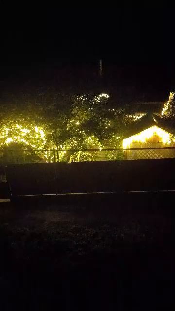 СКОПИНСКИЙ НОЧ