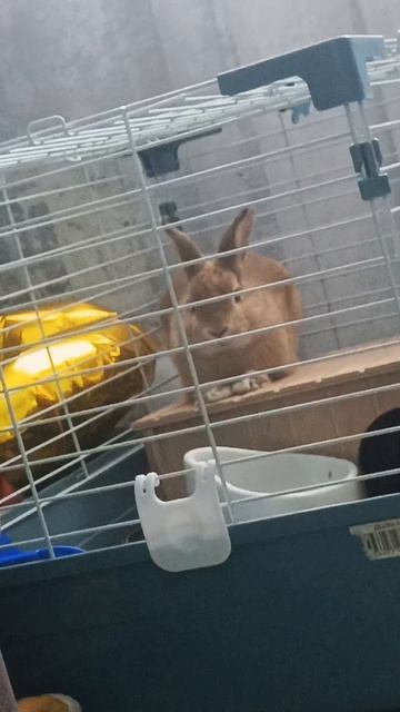 дикий огурец дикий огурец дикий огурец дикий огурец дикий огурец дикий огурец дикий огурец дикий огу