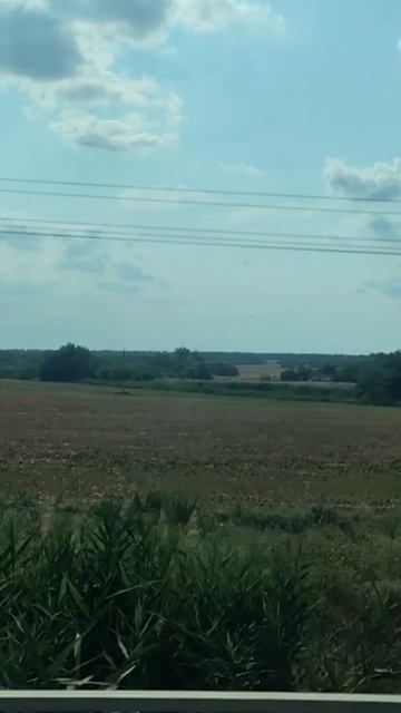 Поезд №511 ЯА Воркута - Новороссийск 🚄 ASMR #поезд