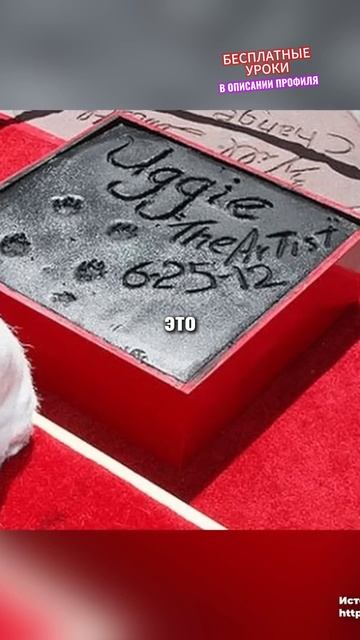 🎁Бесплатные уроки. Жми сюда!