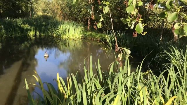 0aadf5a36e284b4fb60124341b23a55c