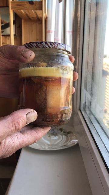 F35c64e9f3a777c15482e730c19ada12