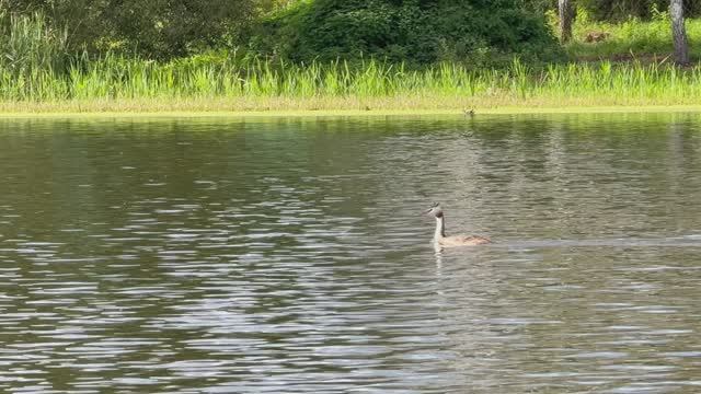 Отличный улов. Рыбалка с лодки. Осень 2025. Ловля Окуня на спиннинг.