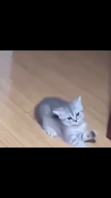 я и моя аккуратность