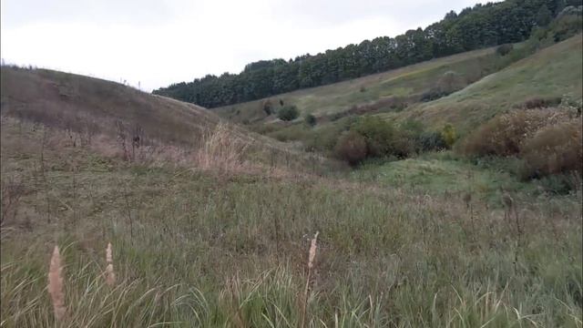 Новая лощина)