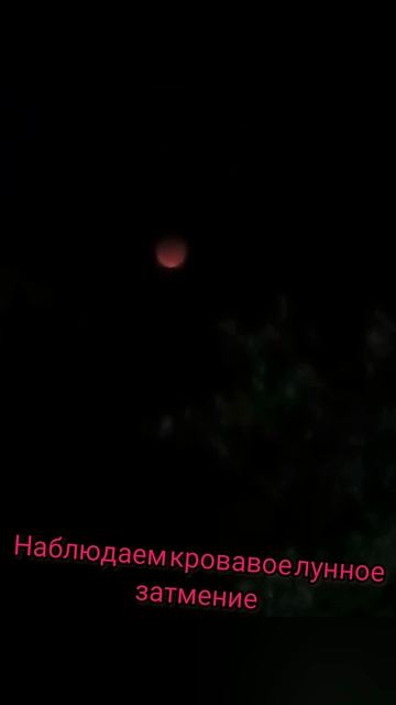 ЛУННОЕ ЗАТМЕНИЕ