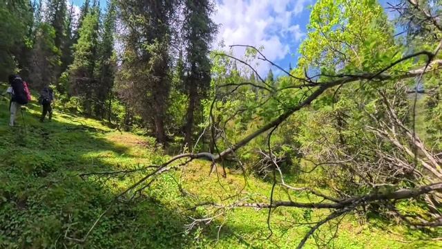 1 часть. Горы Кыргызстана .Путь к вершине 