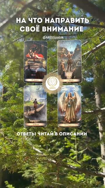 НА ЧТО НАПРАВИТЬ СВОЁ ВНИМАНИЕ