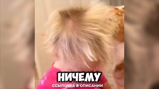 смешные видосики с котятами 😼😼😼😼😸😸😸😸😺😸😺😸😺😸