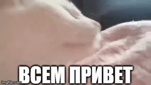 1000038931.mp4