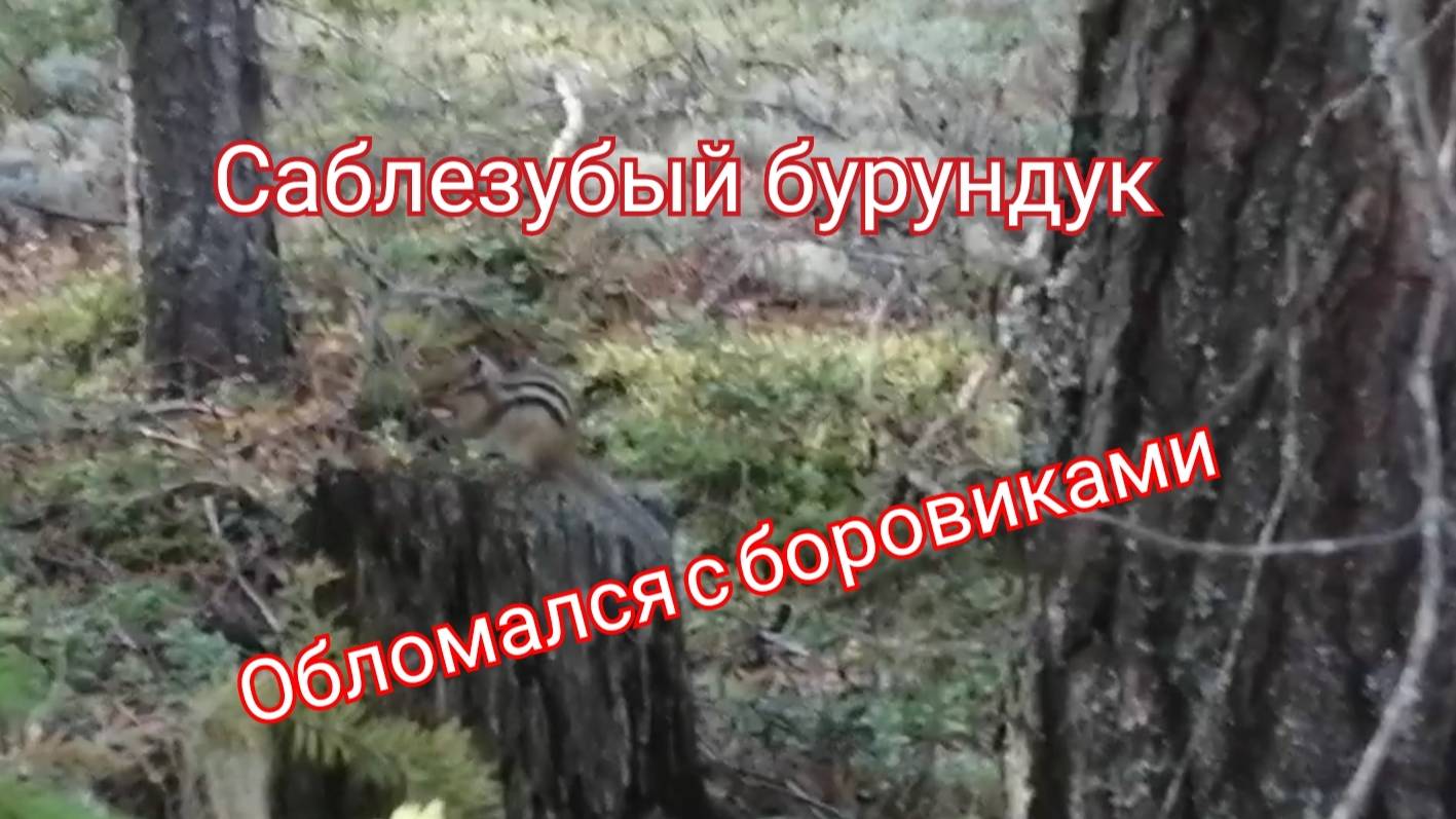 611bcf7f648a2c544ff52845803abf14