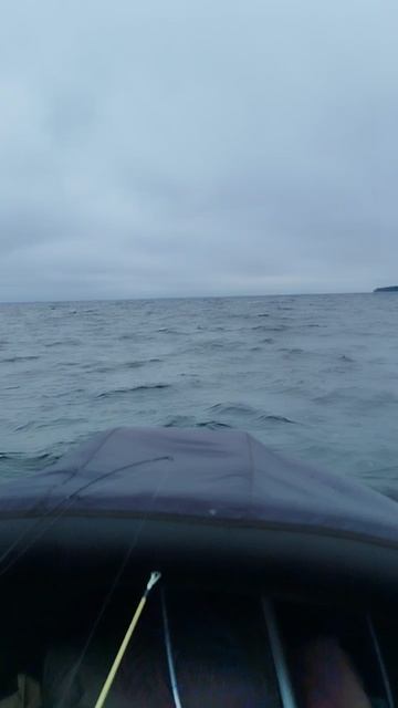 волна