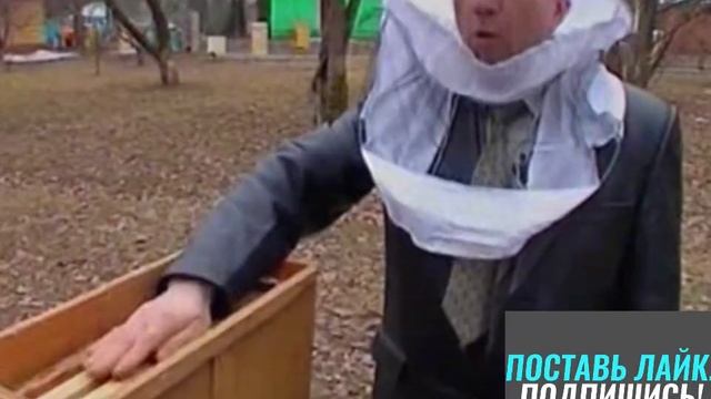 Курсы для начинающих пчеловодов основы,что нужно знат