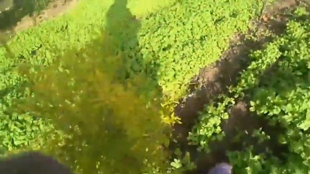 Обзор участка 20 соток. КУПИЛИ ДОМ НА ЮГЕ.