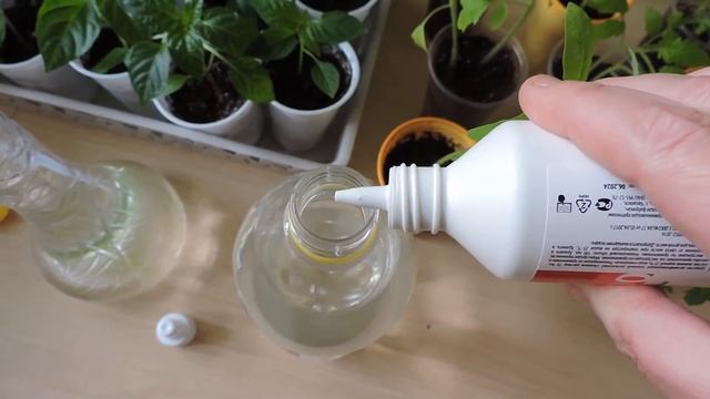 Очень простое средство для опрыскивания рассады.