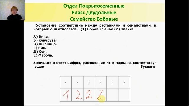 Семейство Бобовые. Теория и практика ЕГЭ /ОГЭ 2017. Биоло