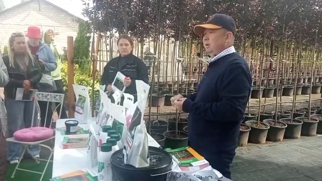 Кормилица Микориза нужна растению как свет, воздух и в