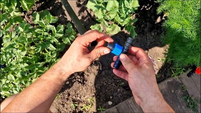 Устанавливаем КАПЕЛЬНЫЙ ПОЛИВ на грядки с картофелем!