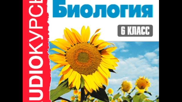 2000243 Glava 07 Аудиокнига. 