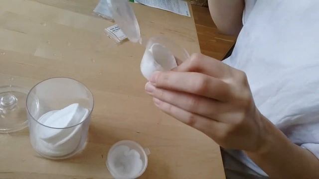 Можно ли вырастить гранат, имбирь  и кофе в квартире? Я
