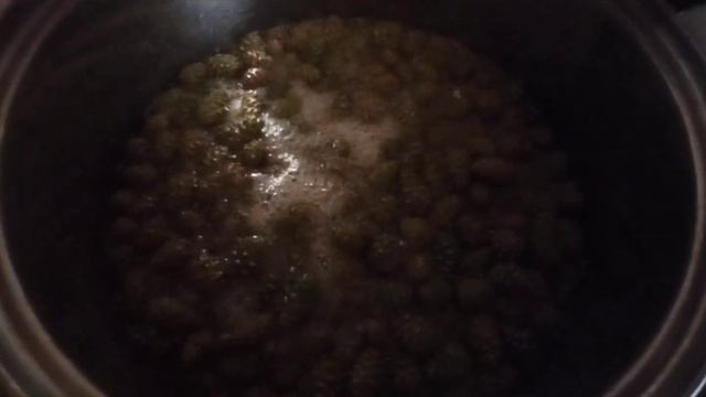 #Сбор#сосна#шишки#варенье #лес