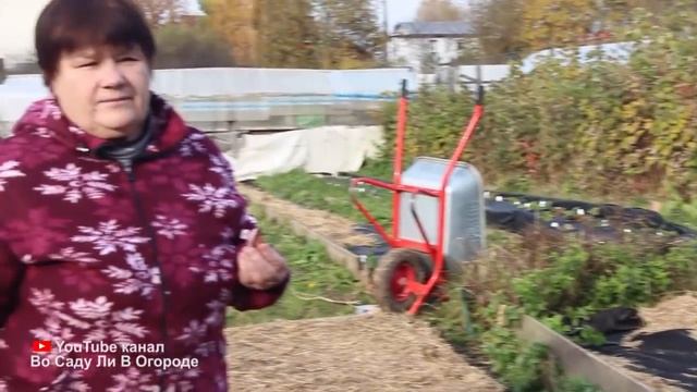 Как подготовить огород осенью, чтобы весной все росло