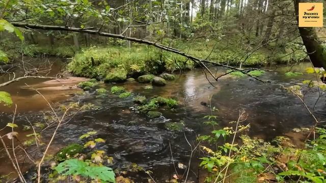 037f5d83f49965ffe6b9fe9fe149d545