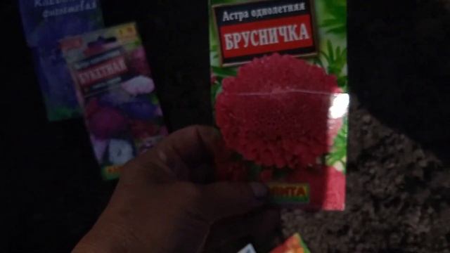 2.5.25г.  Сею на Рассаду ЦВЕТЫ сорта АСТРЫ и АУРИЛИЯ!!!