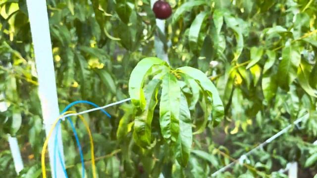 0ab357426788a5865e0c54445b512e6d