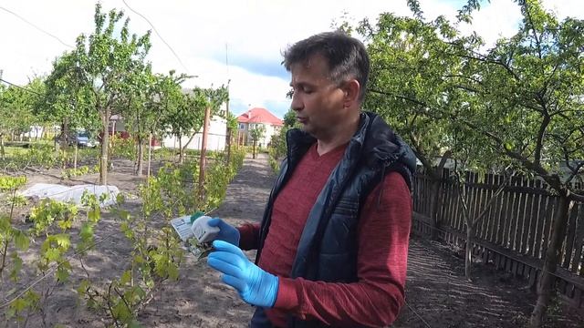 A40899c981f4ed34a8a904533744aa36